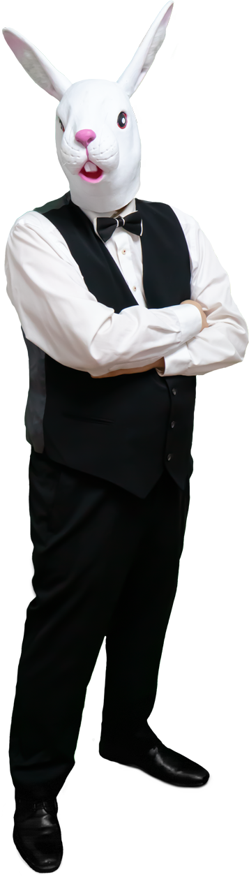 Daniel Wieczorek — Senior Art Director